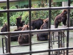 -深圳野生动物园