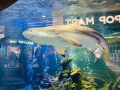 -凯德广场(学府店)