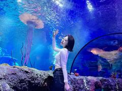 -沈阳海洋探索中心