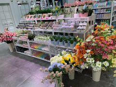 -KKV(天津津南吾悦广场店)