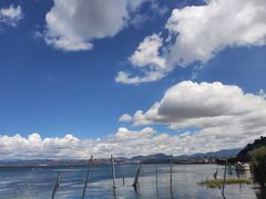 -洱海月湿地公园