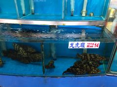 -旗鱼海番村(Orang Asli)