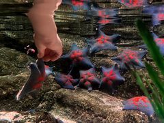 -沈阳海洋探索中心