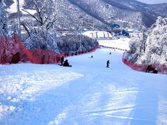 -长春莲花山滑雪场