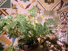 -时光花园(白鹭洲店)