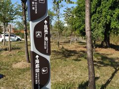 -广东花都湖国家湿地公园