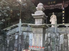 -龙井村