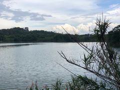 -广东花都湖国家湿地公园