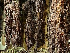 -新疆国际大巴扎