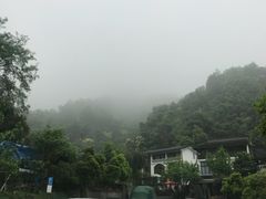 -十八棵（老龙井）御茶园(老龙井店)