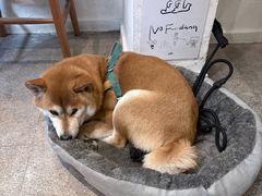 -三目仓咖啡(贤南路店)
