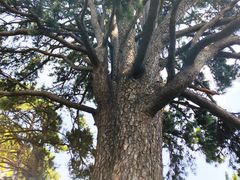 -终南山南五台景区