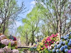 -沂蒙云瀑洞天景区