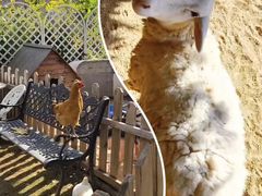 -HERRE·FARM 赫尔露营农场·团建聚会包场