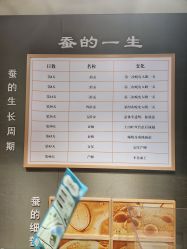 -太湖雪蚕桑文化园