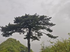 -秦岭终南山世界地质公园翠华山景区
