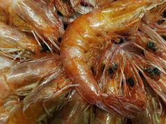 -同路人(江北店)