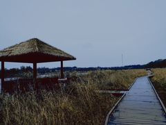 -西青郊野公园