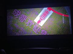 -华美国际影城(旧宫永辉店)