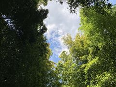 -龙寺生态园