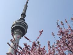 -老韩煸鸡·中国炸鸡(水塔美食街店)