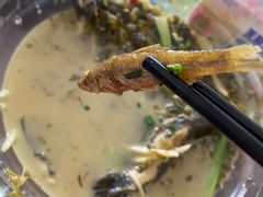 -品雅轩农家乐