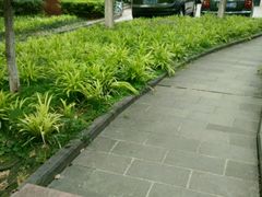 -香姐家政