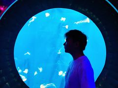 -成都浩海立方海洋公园