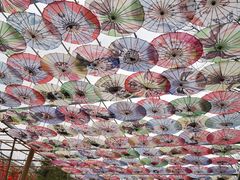 -渭南桃花源民俗文化园