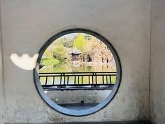 -水绘园