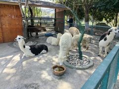 -宁波野生动物园