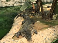 -石家庄市动物园