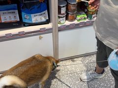 -宠物家(角门东店)