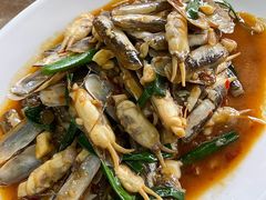 姜葱炒圣子-明记海鲜大排档(巽寮湾店)
