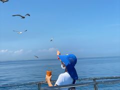 -海驴岛(荣成市)