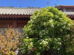 -东昌湖风景区