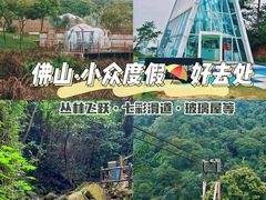 -南丹山森林王国