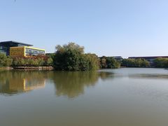 -金桥现代产业园区-停车场