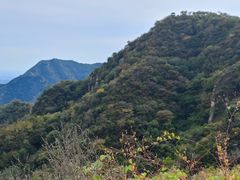 -大岭沟猕猴桃谷风景区