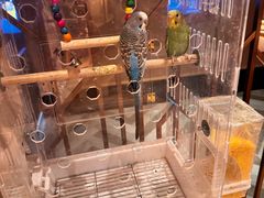 -御海8号温泉酒店