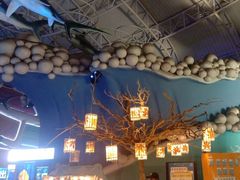 -烟台海昌鲸鲨海洋公园