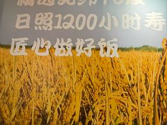 -吉野家(服装城店)