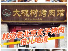 -大槐树烤肉馆