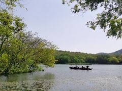 -茅家埠