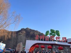 -吉姆冒险世界(蓟州店)