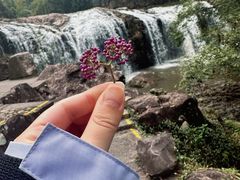 -刘伯温故里景区百丈漈