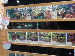 -龟与熊猫宠物公园(南坪店)