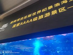 -成都浩海立方海洋公园