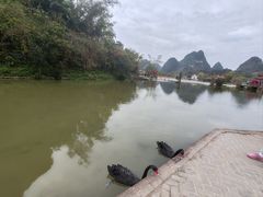 -靖西鹅泉风景区
