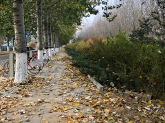 -首都师范大学(良乡校区)